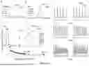 Fig. 10 - Methods and Systems for Modulating Cellular Activation