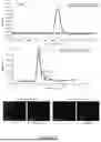 Fig. 18 - Methods and Systems for Modulating Cellular Activation