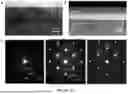 Fig. 25 - Methods and Systems for Modulating Cellular Activation