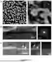 Fig. 26 - Methods and Systems for Modulating Cellular Activation
