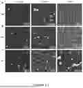 Fig. 28 - Methods and Systems for Modulating Cellular Activation