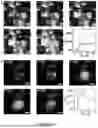 Fig. 45 - Methods and Systems for Modulating Cellular Activation