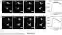 Fig. 46 - Methods and Systems for Modulating Cellular Activation