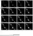 Fig. 52 - Methods and Systems for Modulating Cellular Activation