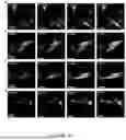 Fig. 55 - Methods and Systems for Modulating Cellular Activation