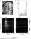 Fig. 58 - Methods and Systems for Modulating Cellular Activation