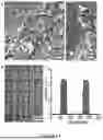 Fig. 64 - Methods and Systems for Modulating Cellular Activation