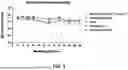 Fig. 04 - VETERINARY VACCINES AND METHODS FOR THE TREATMENT OF PASTEURELLA MULTOCIDA INFECTIONS IN FOOD PRODUCTION ANIMALS