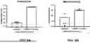Fig. 06 - VETERINARY VACCINES AND METHODS FOR THE TREATMENT OF PASTEURELLA MULTOCIDA INFECTIONS IN FOOD PRODUCTION ANIMALS