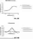 Fig. 09 - VETERINARY VACCINES AND METHODS FOR THE TREATMENT OF PASTEURELLA MULTOCIDA INFECTIONS IN FOOD PRODUCTION ANIMALS