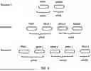 Fig. 09 - SECONDARY CELL CONFIGURATION AND ACTIVATION IN A WIRELESS NETWORK