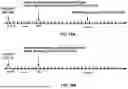 Fig. 16 - SECONDARY CELL CONFIGURATION AND ACTIVATION IN A WIRELESS NETWORK