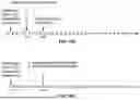 Fig. 17 - SECONDARY CELL CONFIGURATION AND ACTIVATION IN A WIRELESS NETWORK