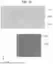 Fig. 30 - Display Panel and Display Device and Mobile Terminal Including the Same