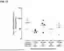 Fig. 16 - METHODS AND COMPOSITIONS FOR TREATING EDEMA REFRACTORY TO ORAL DIURETICS