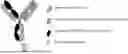 Fig. 01 - CD98HC ANTIGEN-BINDING DOMAINS AND USES THEREFOR