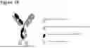 Fig. 03 - CD98HC ANTIGEN-BINDING DOMAINS AND USES THEREFOR