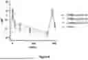 Fig. 12 - CD98HC ANTIGEN-BINDING DOMAINS AND USES THEREFOR