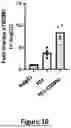 Fig. 13 - CD98HC ANTIGEN-BINDING DOMAINS AND USES THEREFOR