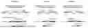 Fig. 03 - STABILIZATION OF THERAPEUTIC TRANS-SPLICING RNA MOLECULES IN HUMAN CELLS