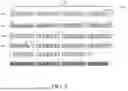 Fig. 09 - MEMORY SYSTEMS AND OPERATING METHODS THEREOF, AND STORAGE MEDIUMS