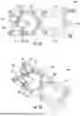 Fig. 13 - SUB-REFLECTOR ASSEMBLIES AND RELATED ANTENNA ASSEMBLIES