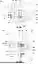 Fig. 16 - SUB-REFLECTOR ASSEMBLIES AND RELATED ANTENNA ASSEMBLIES