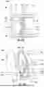 Fig. 19 - SUB-REFLECTOR ASSEMBLIES AND RELATED ANTENNA ASSEMBLIES