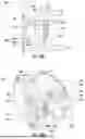 Fig. 20 - SUB-REFLECTOR ASSEMBLIES AND RELATED ANTENNA ASSEMBLIES