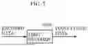 Fig. 07 - THREE-DIMENSIONAL DATA ENCODING METHOD, THREE-DIMENSIONAL DATA DECODING METHOD, THREE-DIMENSIONAL DATA ENCODING DEVICE, AND THREE-DIMENSIONAL DATA DECODING DEVICE