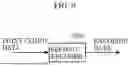 Fig. 09 - THREE-DIMENSIONAL DATA ENCODING METHOD, THREE-DIMENSIONAL DATA DECODING METHOD, THREE-DIMENSIONAL DATA ENCODING DEVICE, AND THREE-DIMENSIONAL DATA DECODING DEVICE