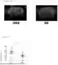Fig. 06 - ENGINEERED SYNTHETIC PEPTIDES, COMPOSITIONS COMPRISING SAME, AND METHODS OF USE THEREOF FOR TREATING MALIGNANT GLIOMAS