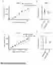 Fig. 08 - UTILIZATION OF IMMORTALIZED B CELLS TO IDENTIFY SDCBP AS A NOVEL THERAPEUTIC TARGET IN OVARIAN CARCINOMA