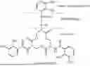 Fig. 01 - POLYMERIC CHELATORS CROSS-LINKED WITH HIGH MOLECULAR WEIGHT CROSS-LINKERS
