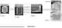 Fig. 10 - WATER-SOLUBLE POLYURETHANES AS SUPPORT MATERIAL AND SACRIFICIAL MATERIAL FOR 3D PRINTING