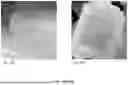 Fig. 15 - WATER-SOLUBLE POLYURETHANES AS SUPPORT MATERIAL AND SACRIFICIAL MATERIAL FOR 3D PRINTING