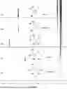 Fig. 01 - CHEMICALLY CIRCULAR POLYHYDROXYALKANOATES