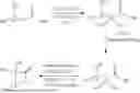 Fig. 15 - CHEMICALLY CIRCULAR POLYHYDROXYALKANOATES