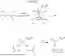 Fig. 59 - DEVICES AND METHODS FOR ANALYZING BIOLOGICAL SAMPLES