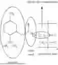 Fig. 02 - THE USE OF HYDROPHILIC AND HYDROPHOBIC DEEP EUTECTIC SOLUTIONS AS PLASTICIZERS