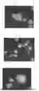 Fig. 01 - PARTICLES WITH A POLYMER COATING, PROCESS FOR PRODUCING THESE COATED PARTICLES AND THEIR USE