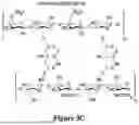 Fig. 05 - BIODEGRADABLE COMPOSITES FOR PACKAGING