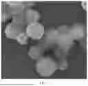 Fig. 02 - POLYURETHANE COMPOSITE MATERIAL WITH EMBEDDED LIQUID HEALING NETWORK AND PREPARATION METHOD THEREFOR