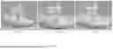 Fig. 06 - METHOD OF ADDITIVE MANUFACTURING AND DUAL MATERIAL ELASTOMERIC FILAMENT