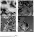 Fig. 07 - METHOD OF ADDITIVE MANUFACTURING AND DUAL MATERIAL ELASTOMERIC FILAMENT
