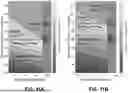 Fig. 13 - Composite Materials Having Natural Granular Materials or Soils and Hydrophobic Biologically-derived Binders