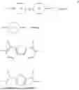 Fig. 58 - FERROELECTRIC NEMATIC LIQUID CRYSTALLINE MEDIUM