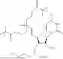 Fig. 167 - Oligonucleotide Terminal Phosphate Derivatives and Method of Use