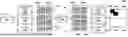 Fig. 01 - SALIENCY-GUIDED PACKET LOSS MITIGATION FOR CONTENT STREAMING SYSTEMS AND APPLICATIONS
