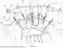 Fig. 09 - RETRACTOR SYSTEM FOR ABDOMINAL-WALL REPAIR